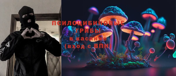 тгк Корсаков