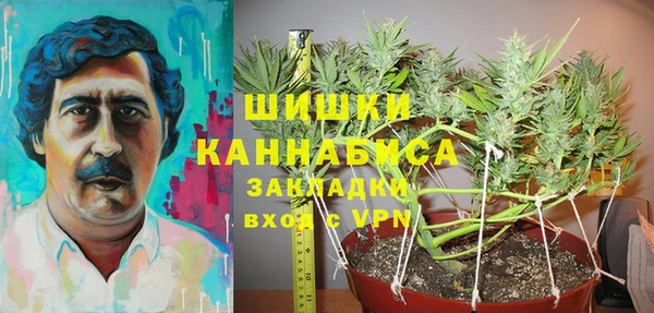 тгк Корсаков