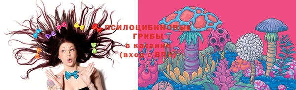 тгк Корсаков
