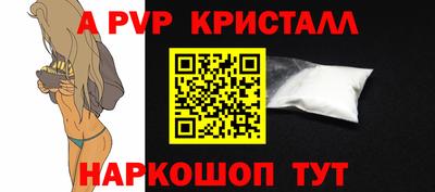 герыч Кингисепп