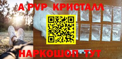 герыч Кингисепп