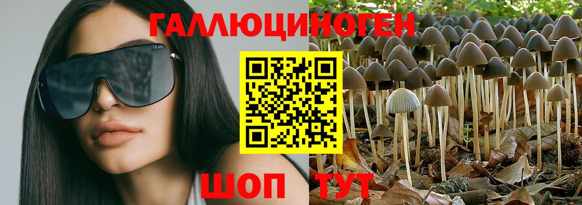 Москва  Галлюциногенные грибы ЛСД  Вход с VPN 