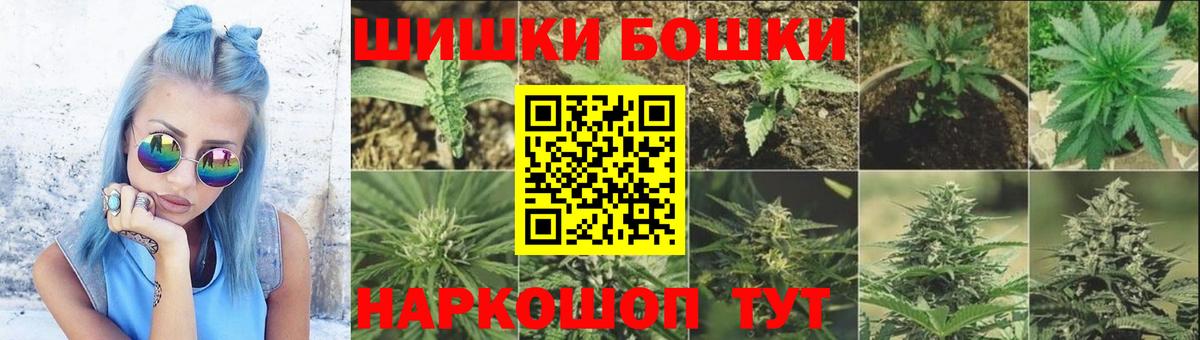 Бошки марихуана марихуана  Конопля Ganja  Канабис гибрид  Москва 